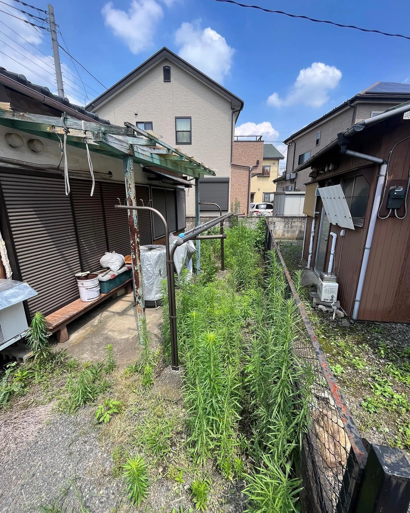 【練馬区】🌿🌱草刈り🌱🌿🚚🚚🚚