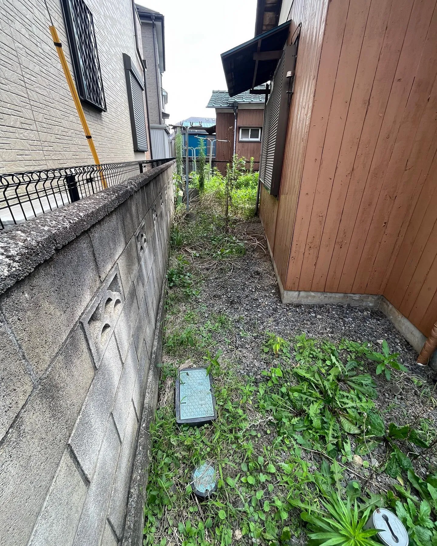 【練馬区】🌿🌱草刈り🌱🌿🚚🚚🚚