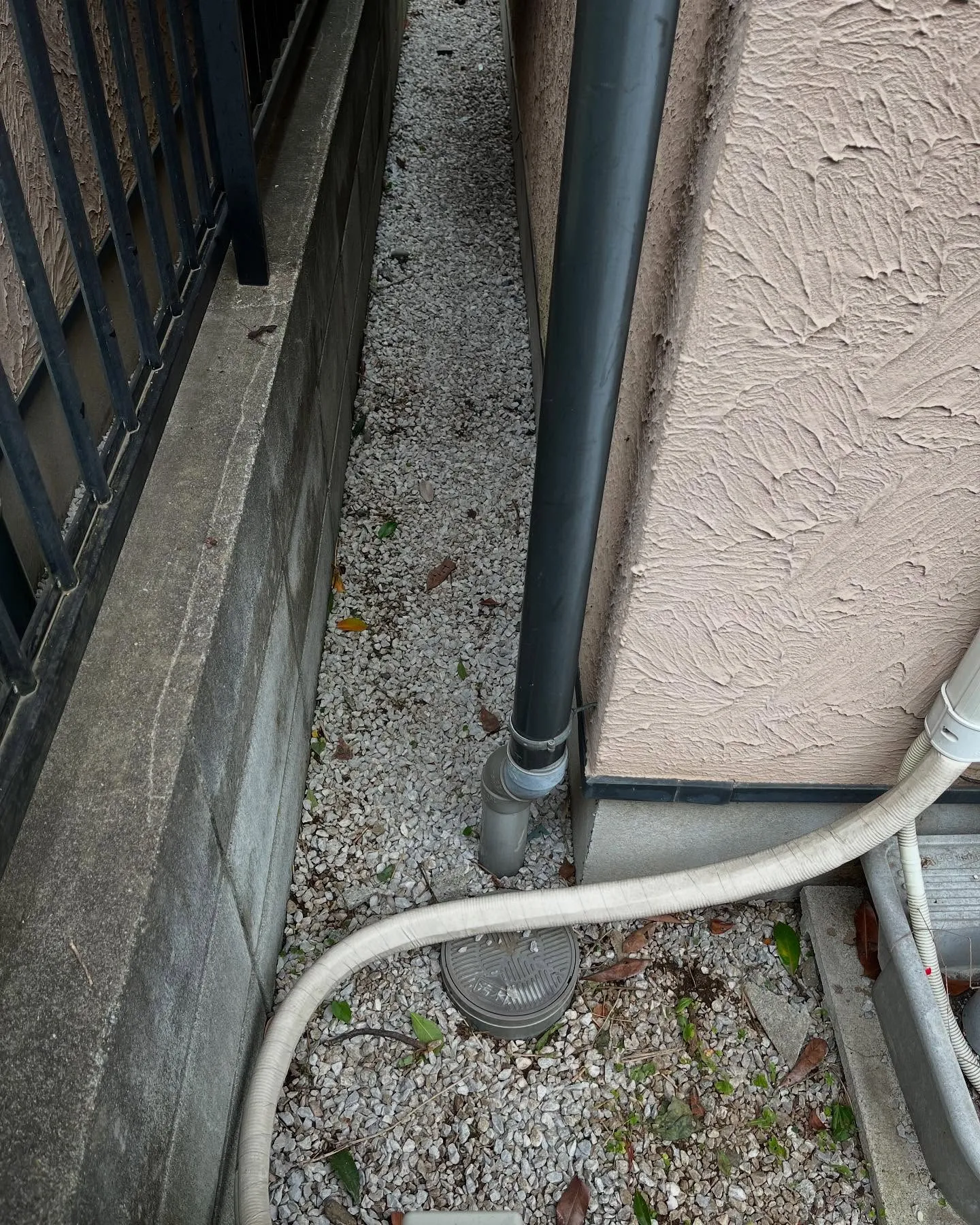 【練馬区】🌲🌲剪定伐採草取り🌲🌲