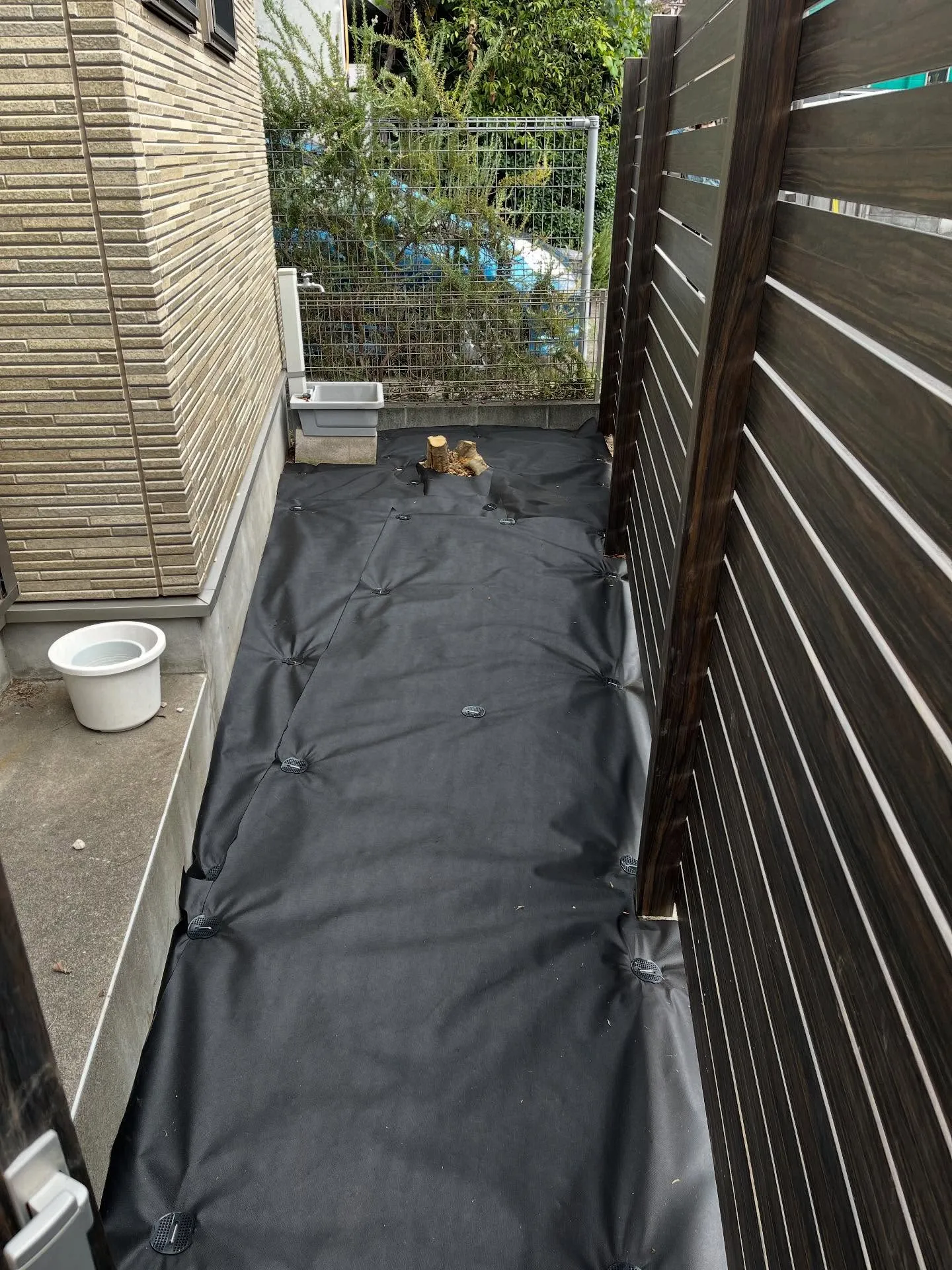 【練馬区】🪴🪴お庭のお手入れ🪴🪴