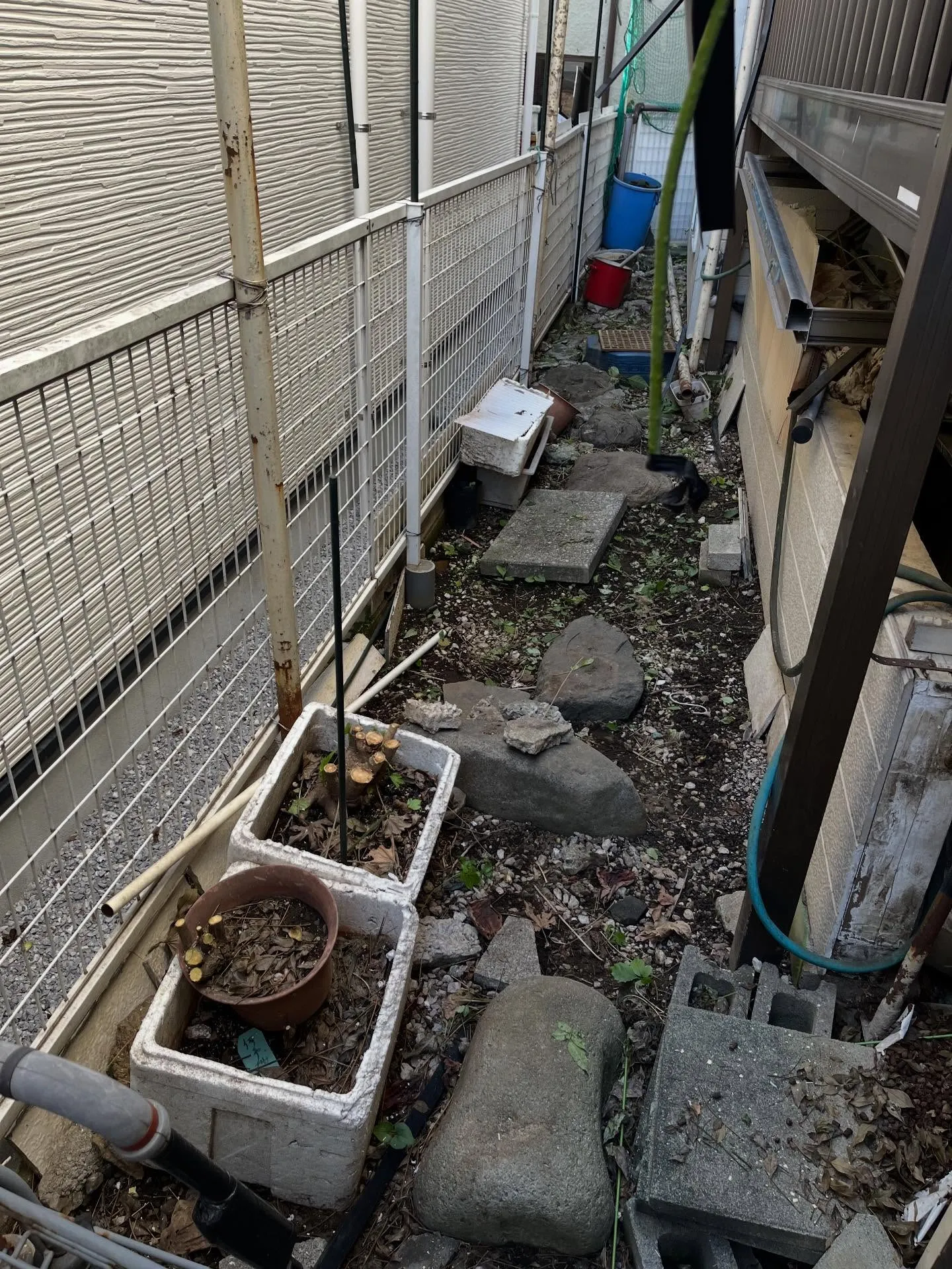 【練馬区】🪴🪴お庭のお手入れ🪴🪴